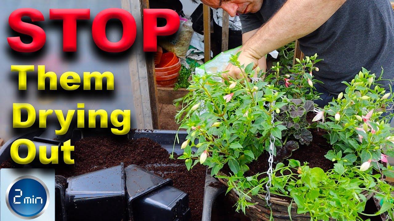 'Video thumbnail for STOP hanging baskets drying out - Spend less time WATERING'