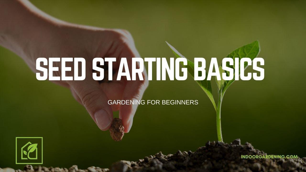 'Video thumbnail for Seed Starting Basics | Gardening For Beginners'
