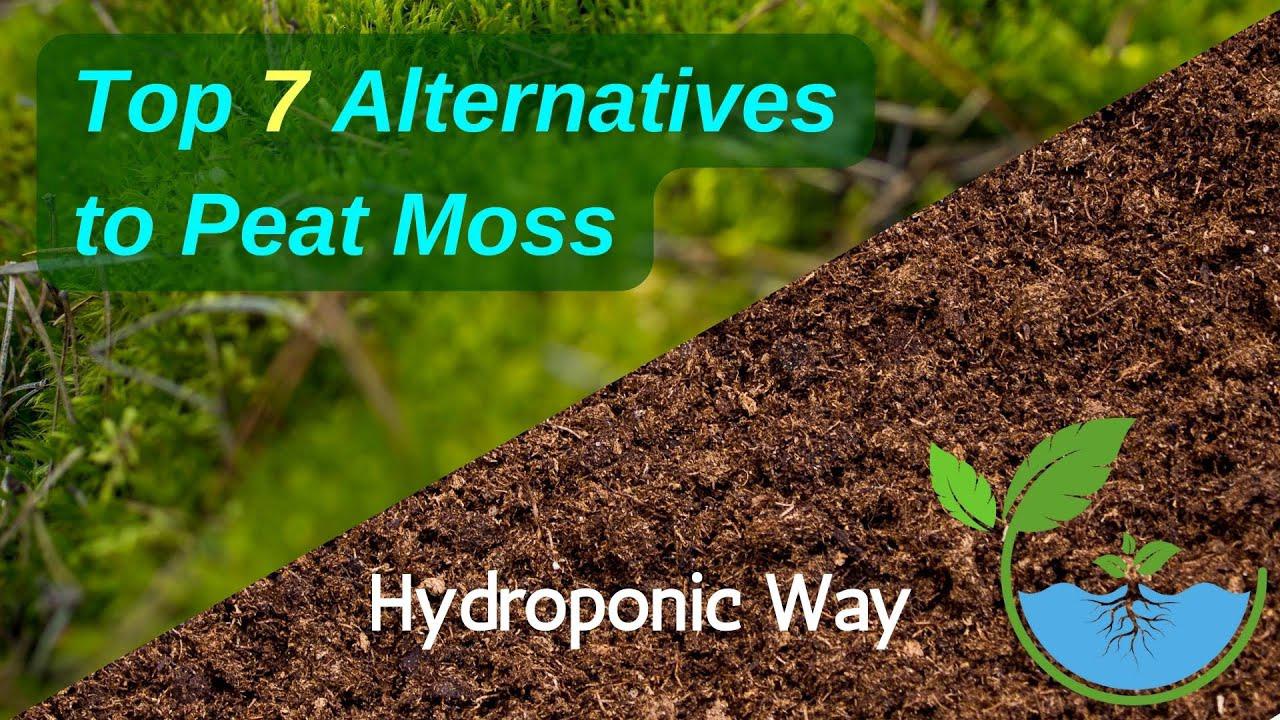 'Video thumbnail for Top 7 Alternatives to Peat Moss | Hydroponic Way'