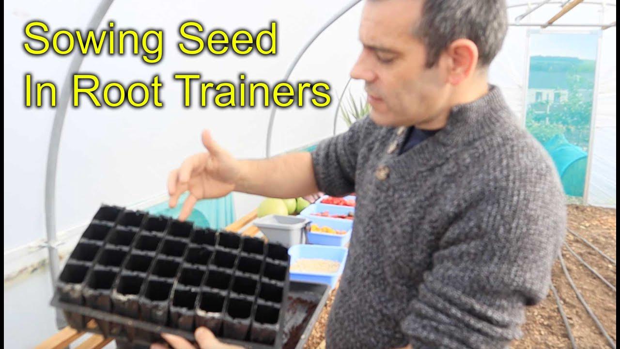 'Video thumbnail for Sowing Seed For Winter   Spring In Root Trainers'