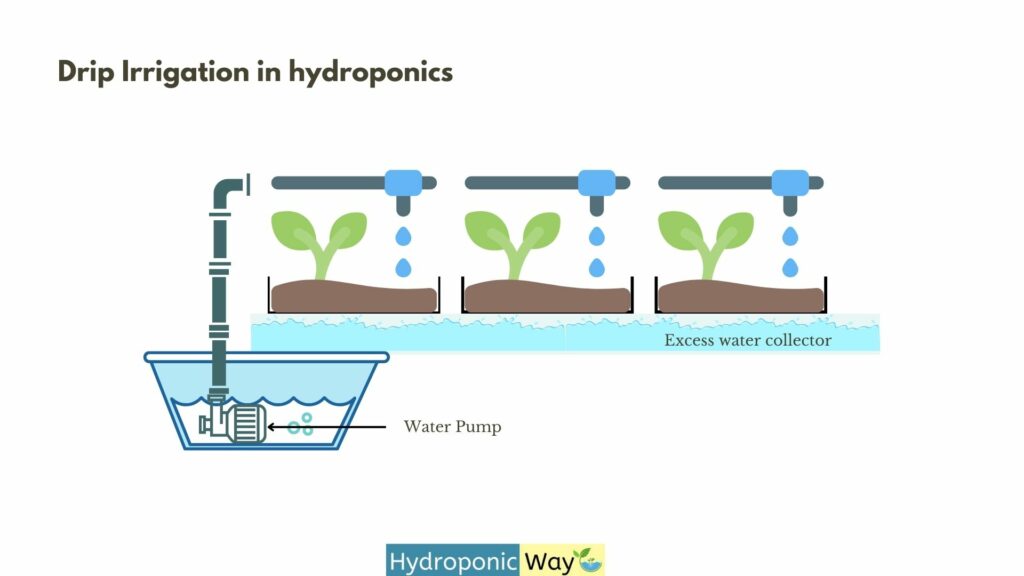 Drip irrigation hydroponics