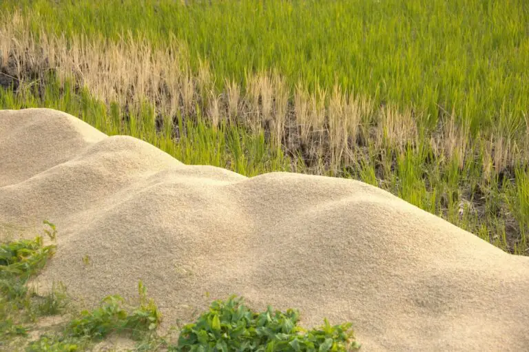 Why Rice Hulls Bad for the Environment?