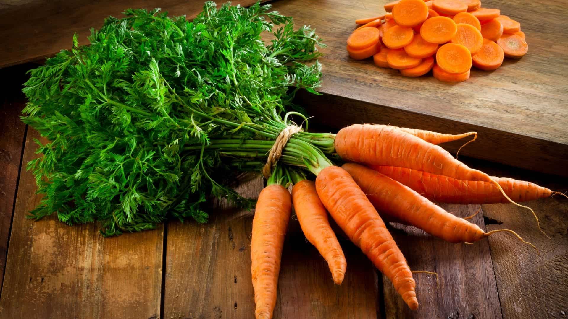 hydroponic carrot - how to grow