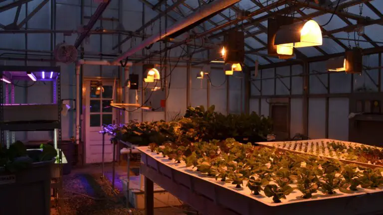 How to build a low-maintenance, climate-controlled grow room