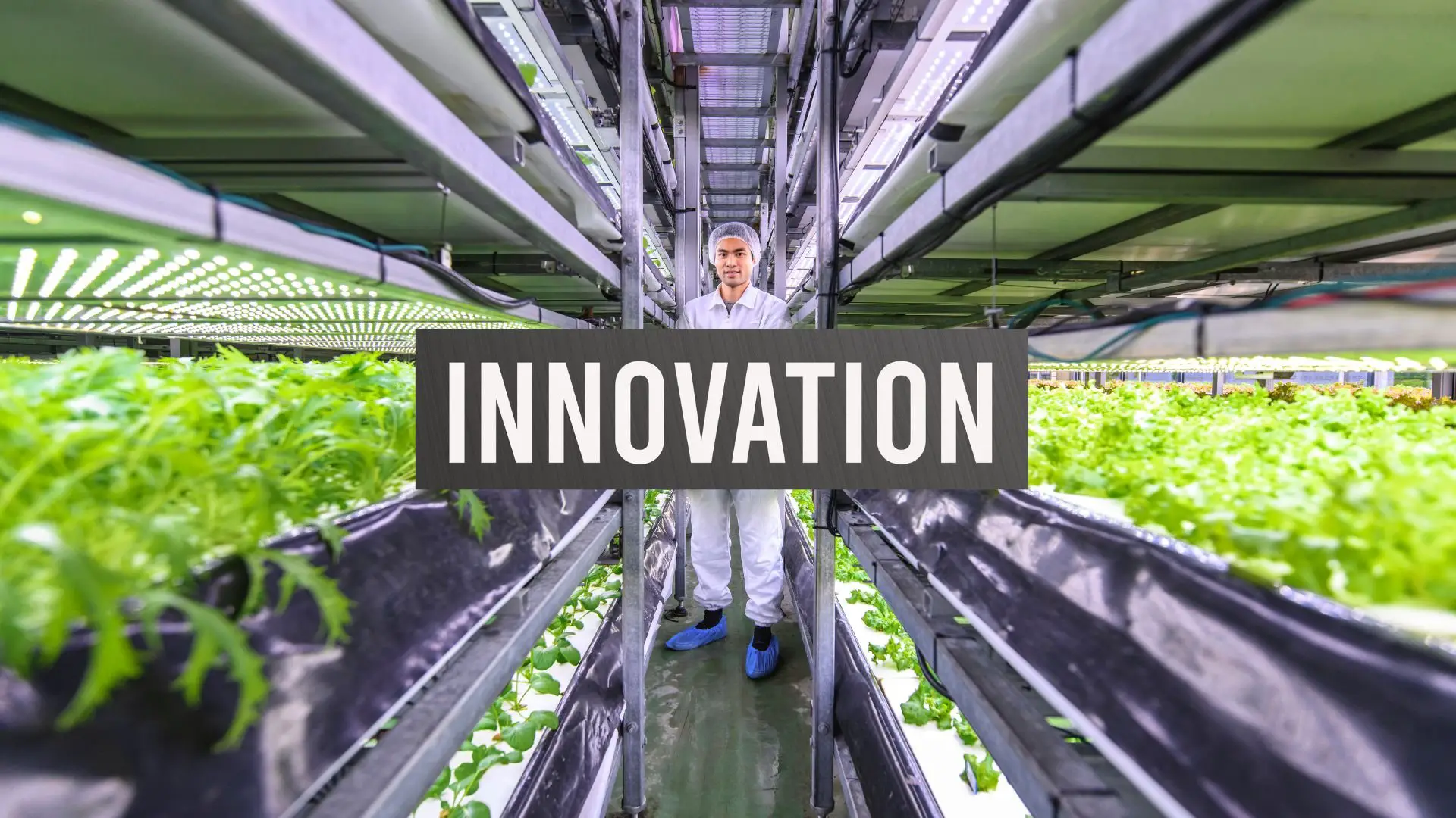 % Discover how modern hydroponic technologies are revolutionizing indoor farming and paving the way for exciting advances in this field.
