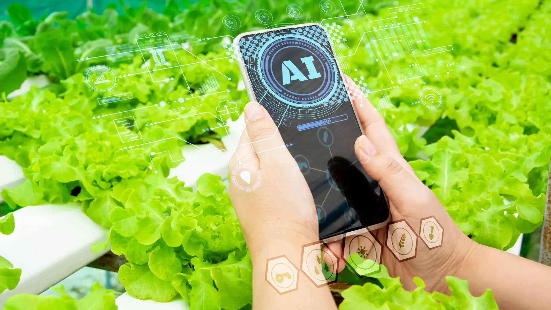 % Discover how AI Agriculture is transforming hydroponics technology and creating eco-friendly farming methods that are more efficient than ever before. Get the facts here!