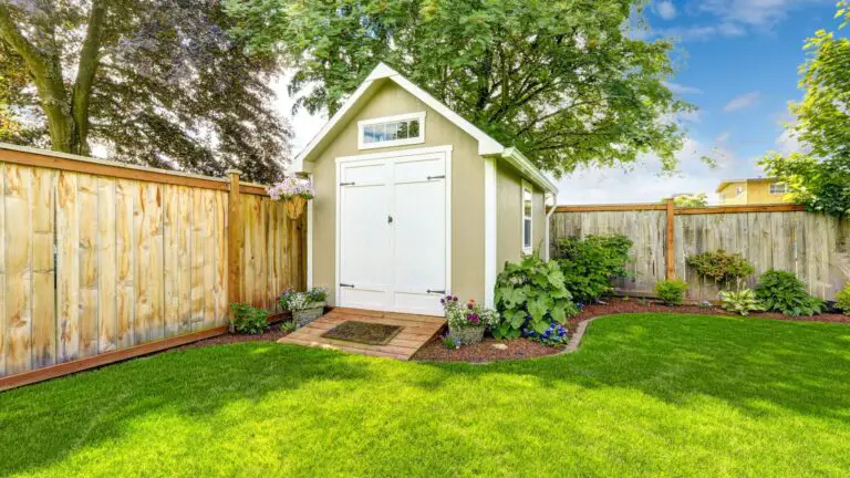 Turn Your Boring Backyard into a Profitable Hydroponics Garden