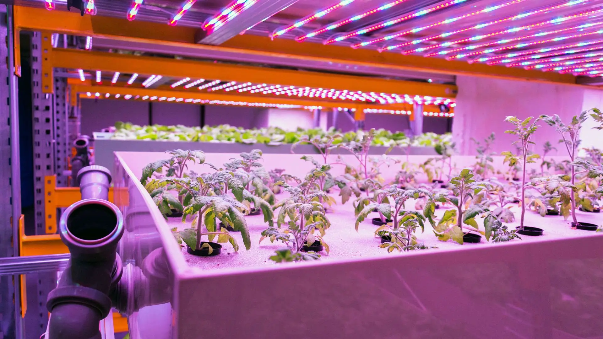 % Learn how hydroponic farming can help coastal areas become more sustainable and support the global population growth, as well as reduce exposure to climate and non-climate coastal hazards