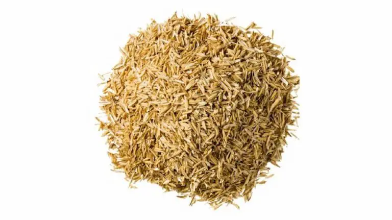 How to Set Up a Hydroponic Garden Using Rice Hulls?