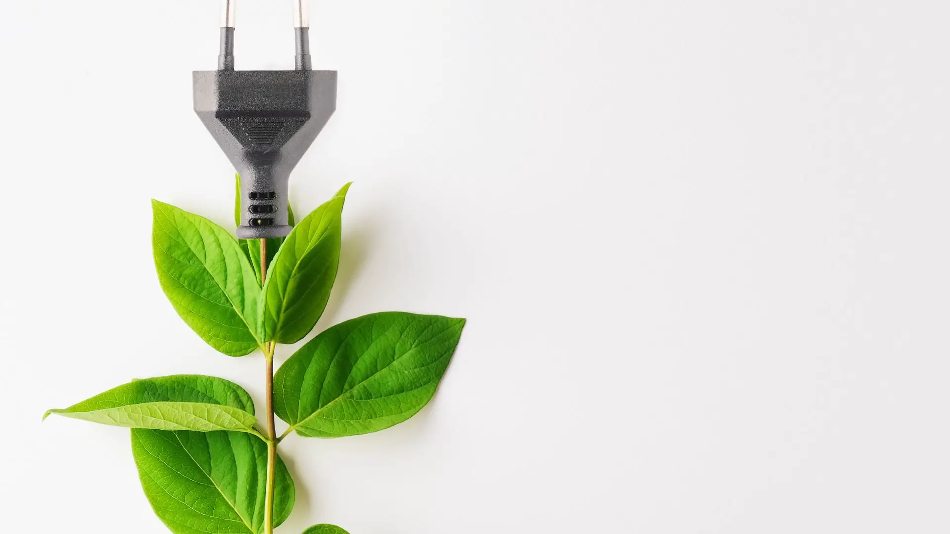% Learn how to integrate hydroponics systems with renewable energy sources in your garden for a more sustainable and eco-friendly experience! Discover the various methods you can adopt here.
