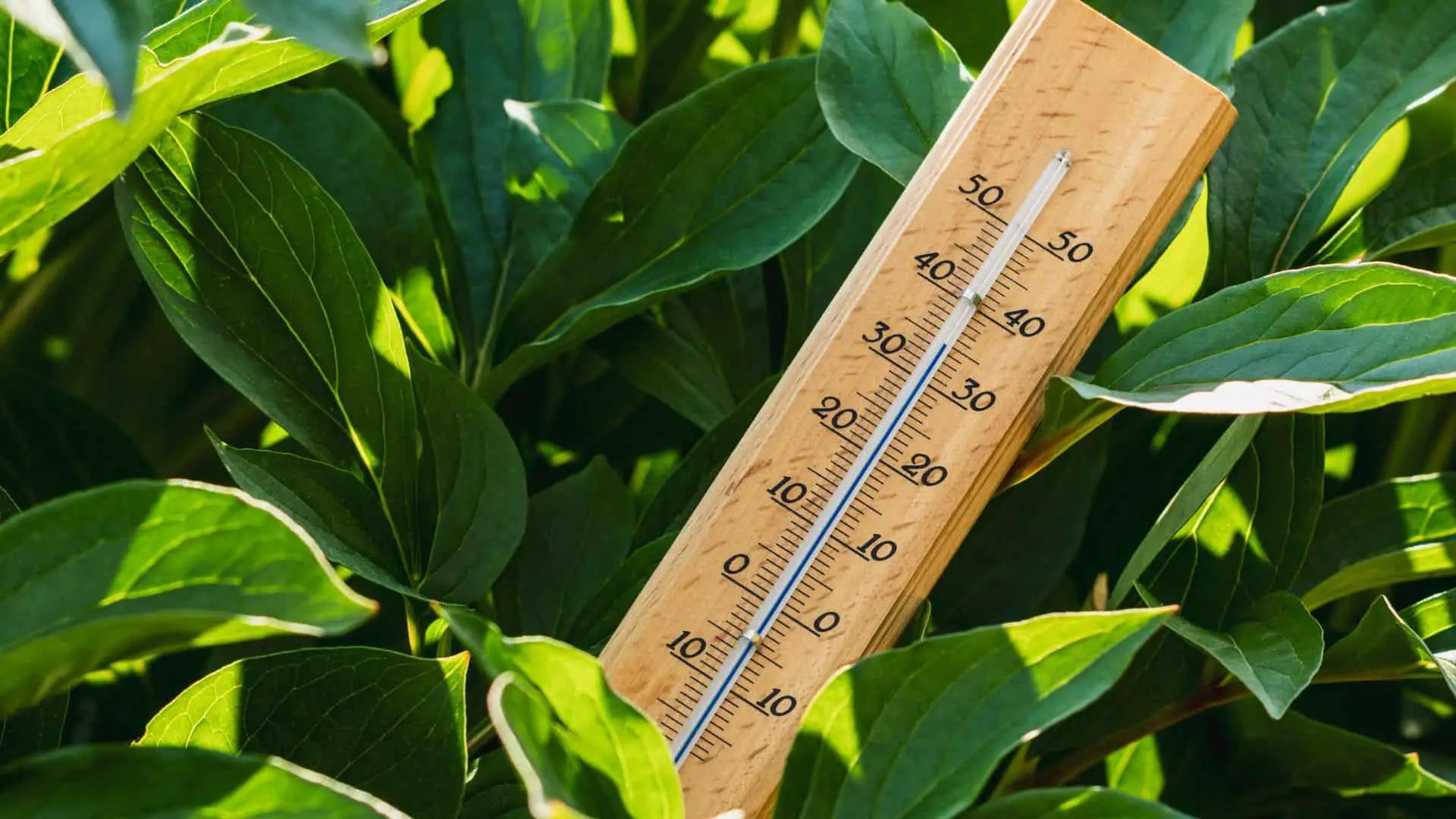 % Feeling the heat in growing room? Learn how to keep your grow room cool with these ten tricks.