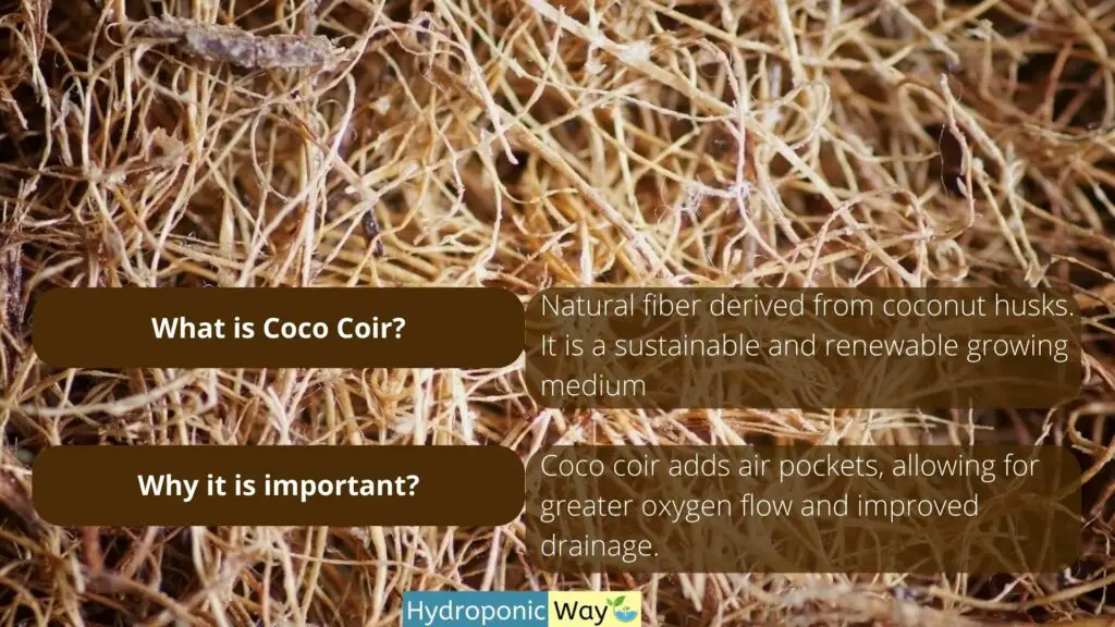 % Are you a hydroponic gardener looking for an effective, efficient way to aerate the roots of your plants and give them access to vital nutrients? Look no further! Coco coir is an excellent medium for root aeration that can help optimize growth in any hydroponic garden. 