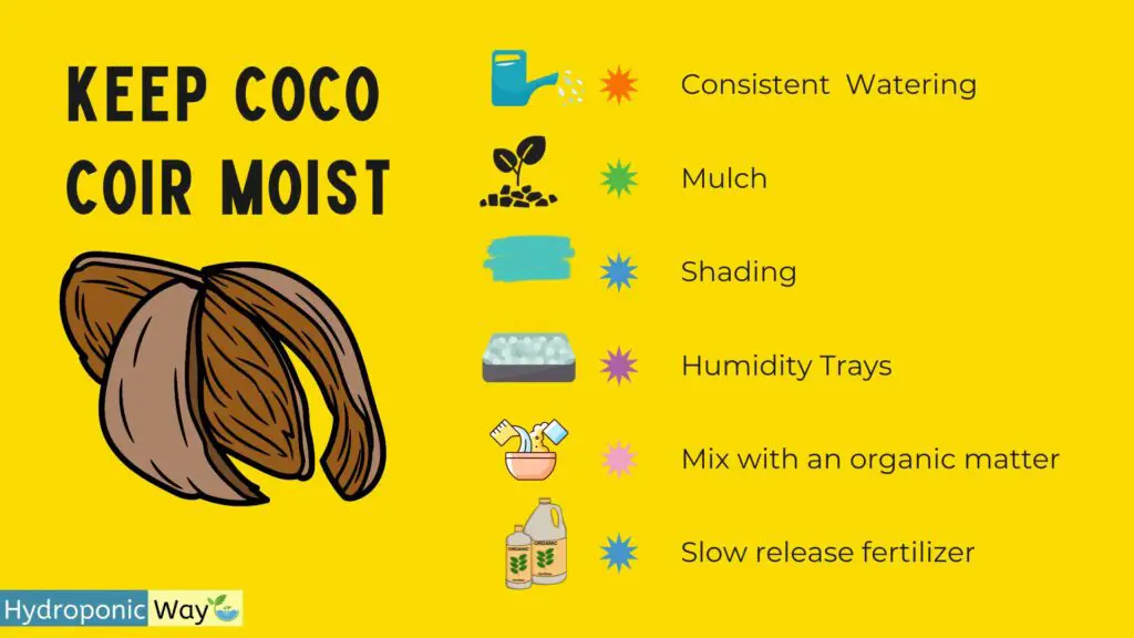 % Discover expert tips to maintain optimal moisture levels in coco coir, a popular growing medium.