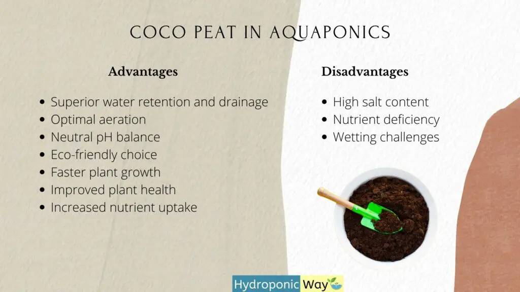 % Learn about the advantages and drawbacks of using coco peat in aquaponics