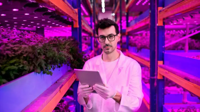Panoponica Technology: Revolutionizing Agriculture with Advanced Hydroponics