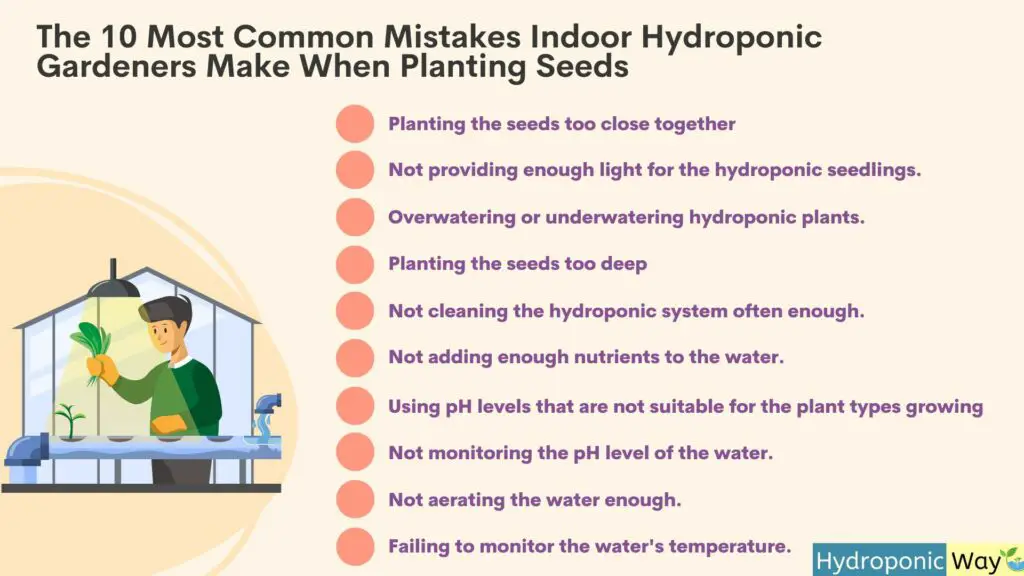 10 mistakes hydroponic gardeners make when planting seeds