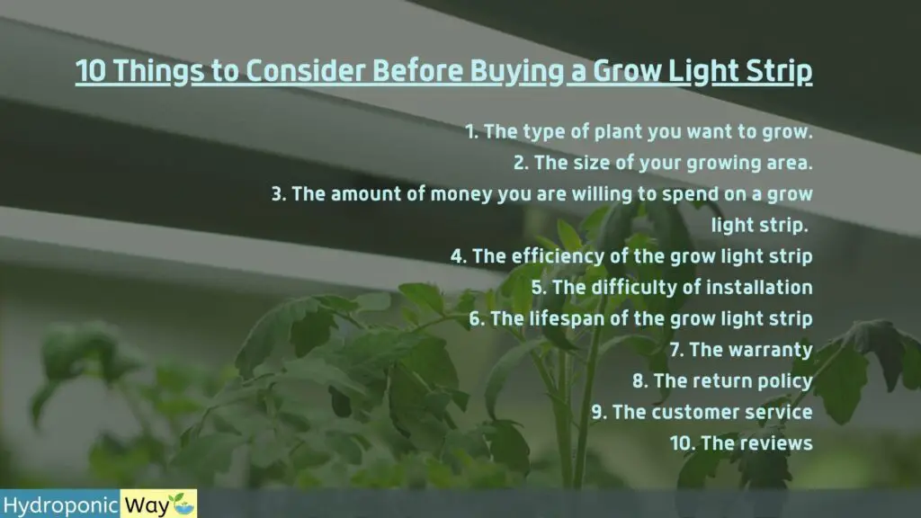 10 things you should consider when buying a grow light strip