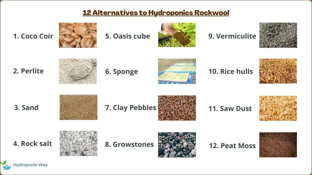 12 alternative to rockwool for hydroponics as growing medium