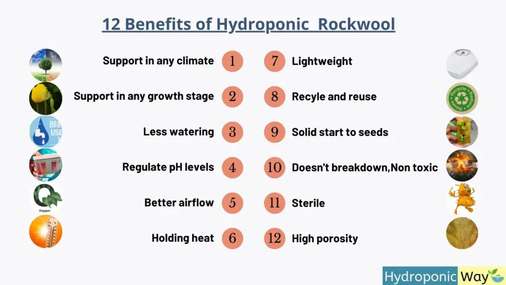 12 benefits of hydroponic rockwool
