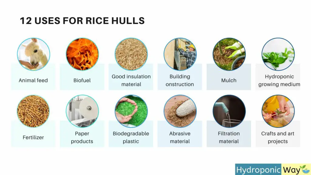 twelve uses of rice hulls for hydroponics