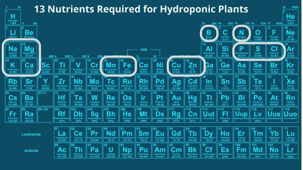 13 nutrients required for hydroponic plants