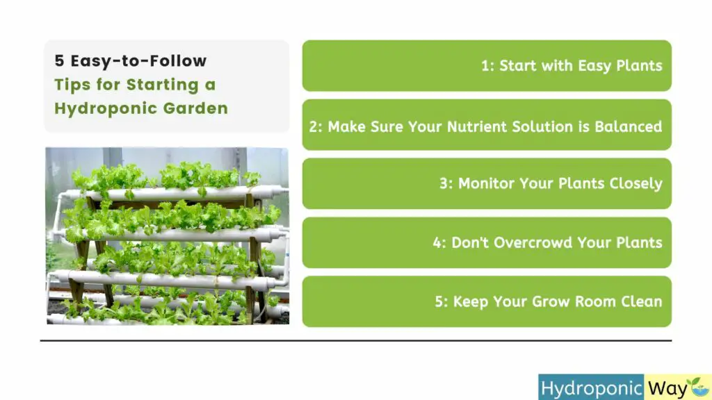 5 easy to follow tips to start growing hydroponic garden