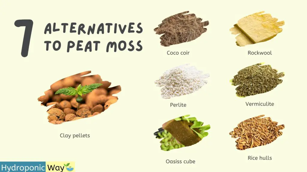 seven alternative growing medium to peat moss