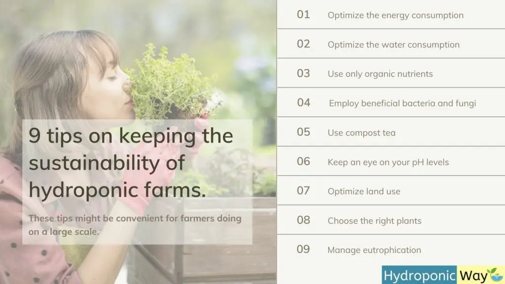 9 tips on keeping the sustainability of hydroponic farms
