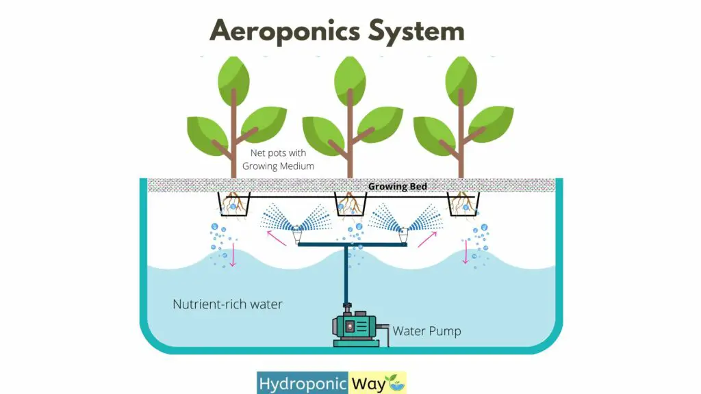 aeroponics system