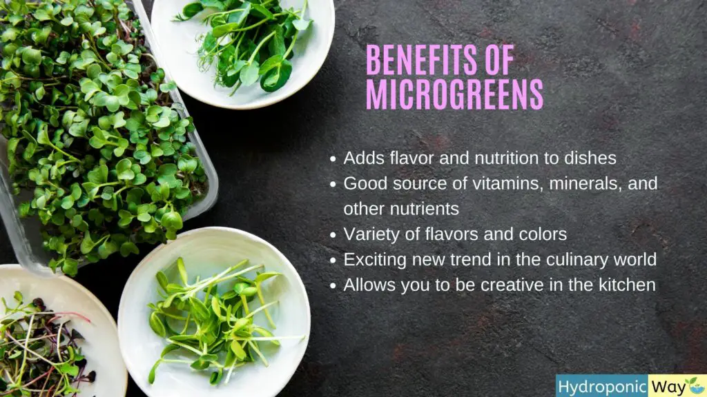 Benefits of Microgreen