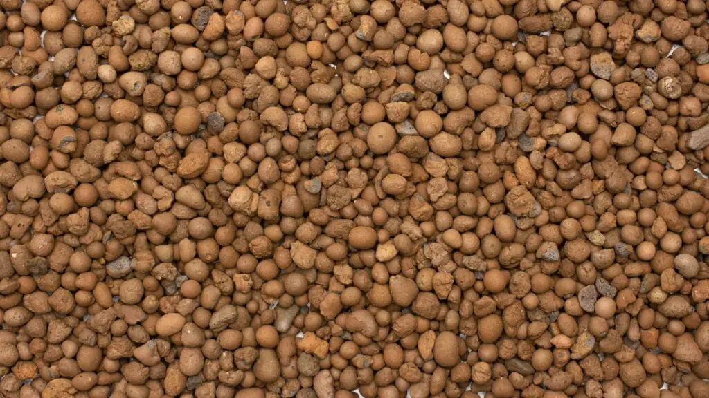 clay pebbles for hydroponics as growing medium