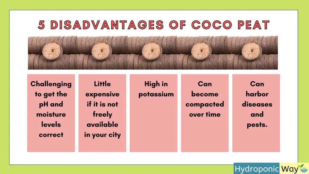 Disadvantages of coco peat as growing medium
