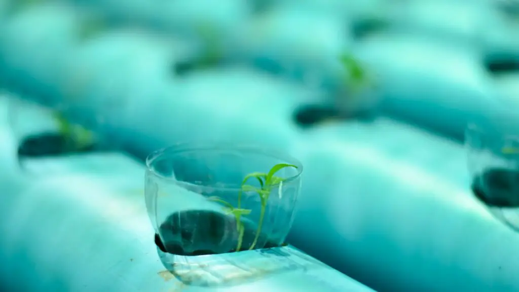 DIY net cups for hydroponics