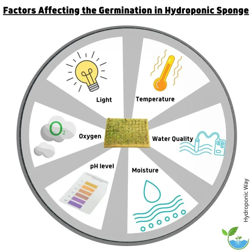 Factors affecting germination in hydroponics