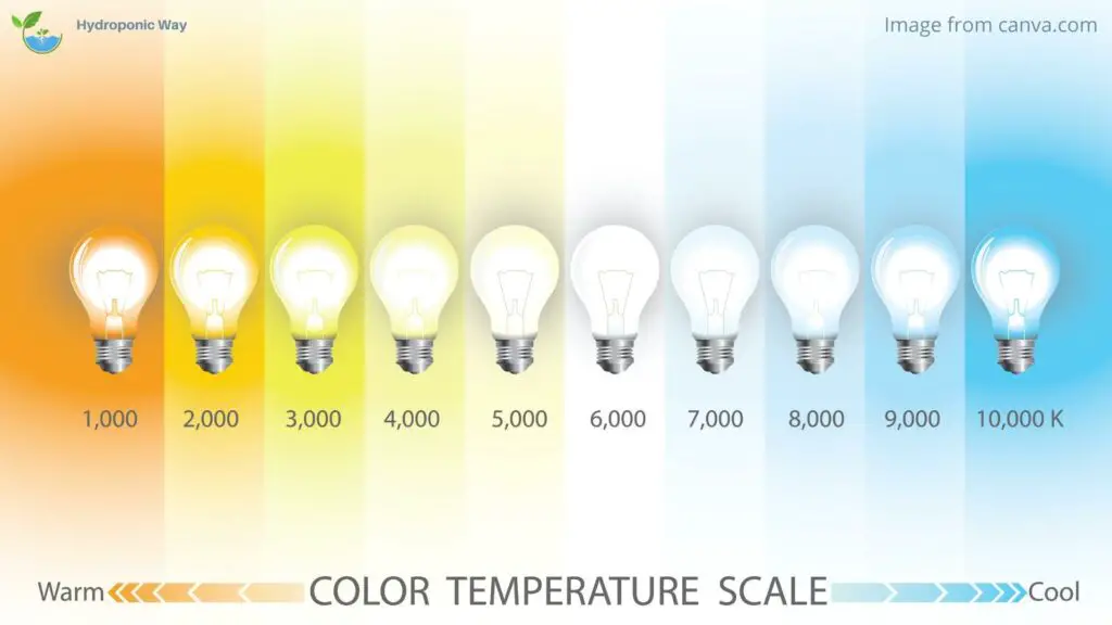 grow light color with temperature