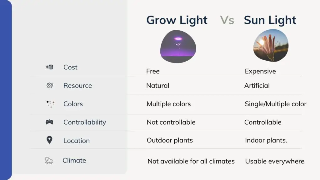grow light vs sunlight