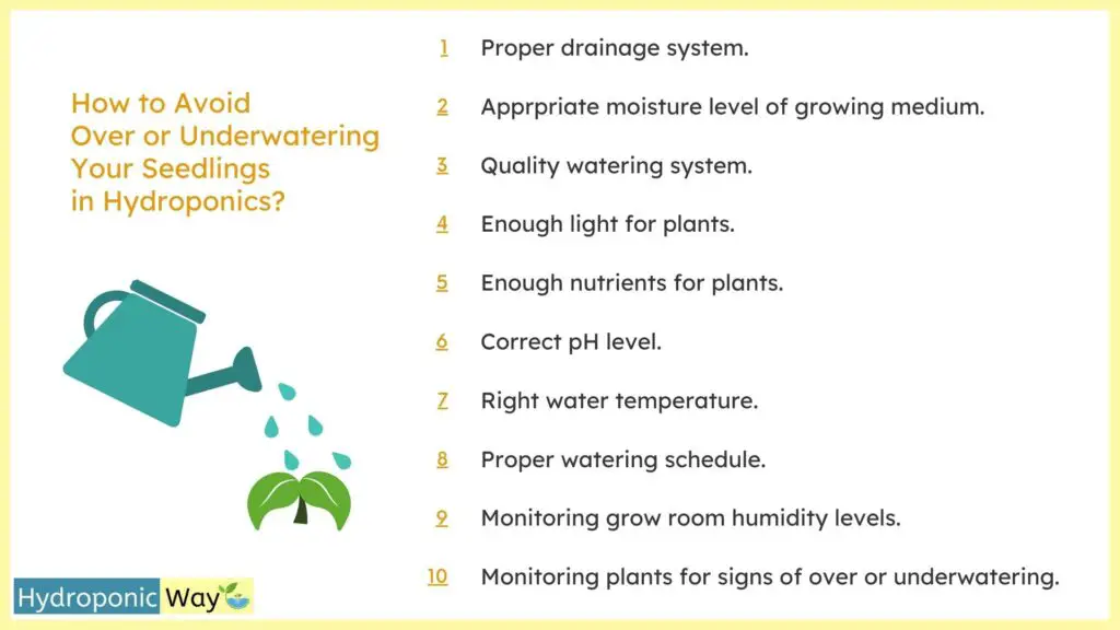 how to avoid over and under watering in hydroponics seedling