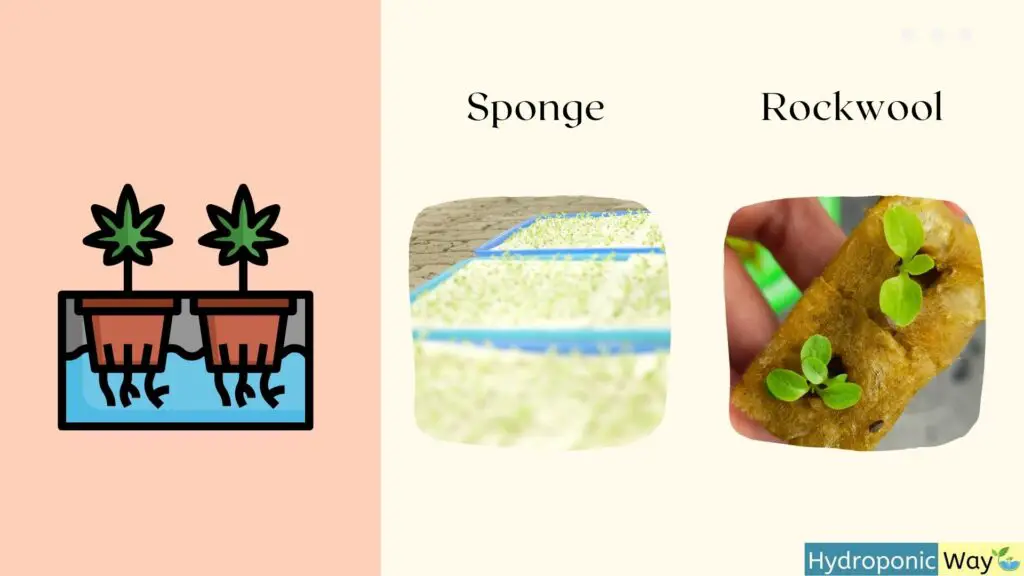 Hydroponic sponge vs hydroponic rockwool