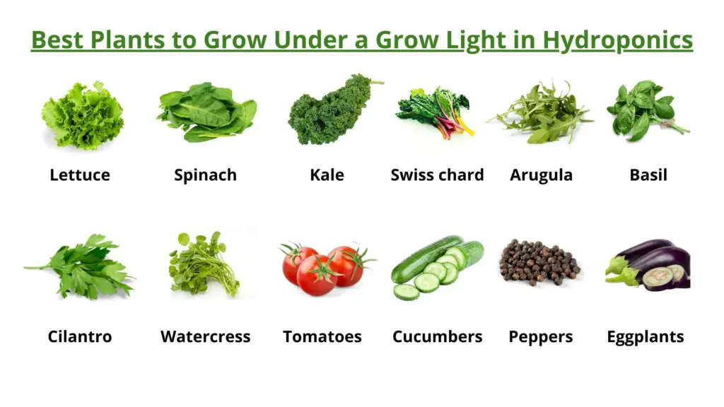 plants to grow under grow light