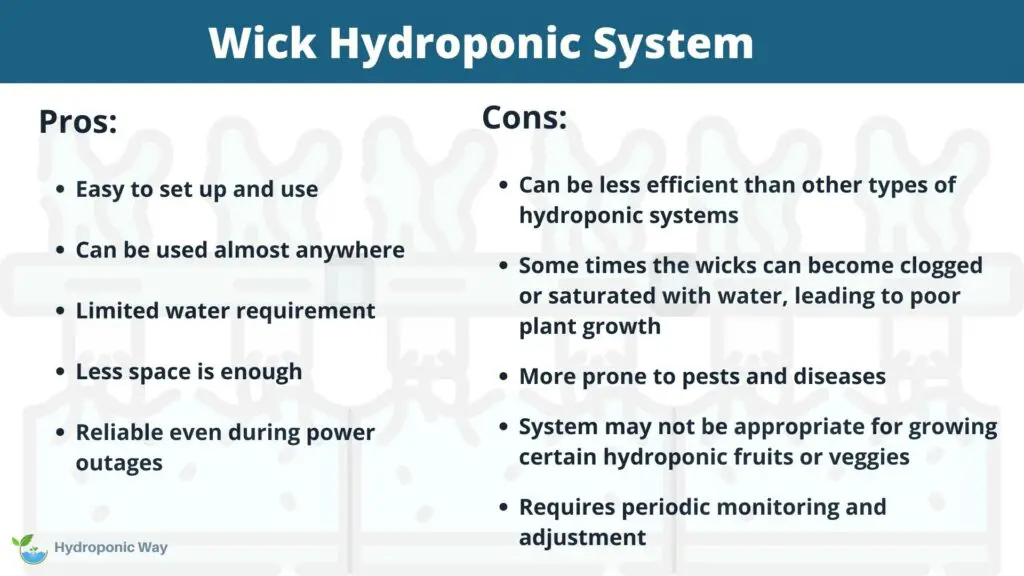 Pros and cons of wick hydroponic system