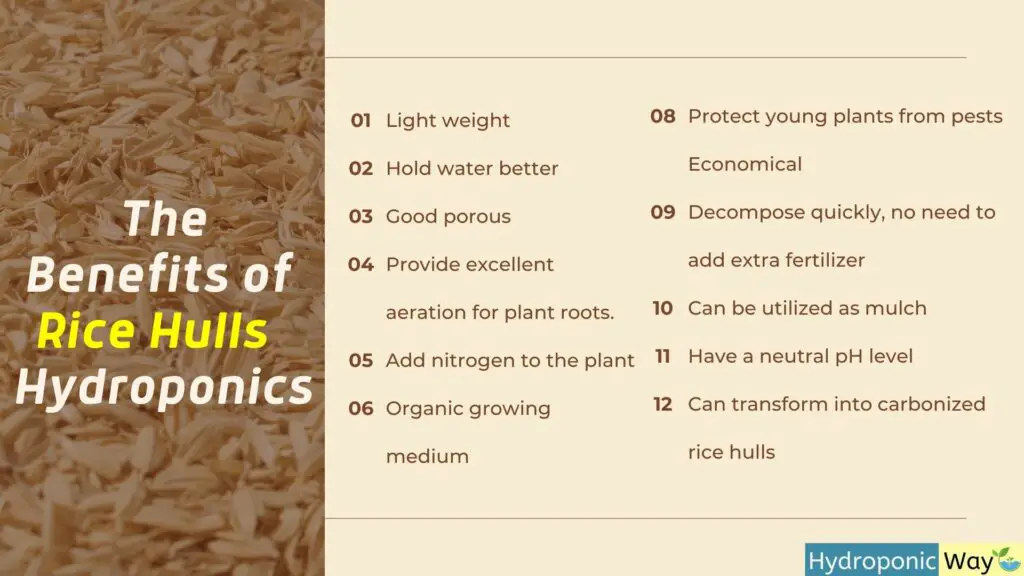 Benefits of rice hulls as growing medium