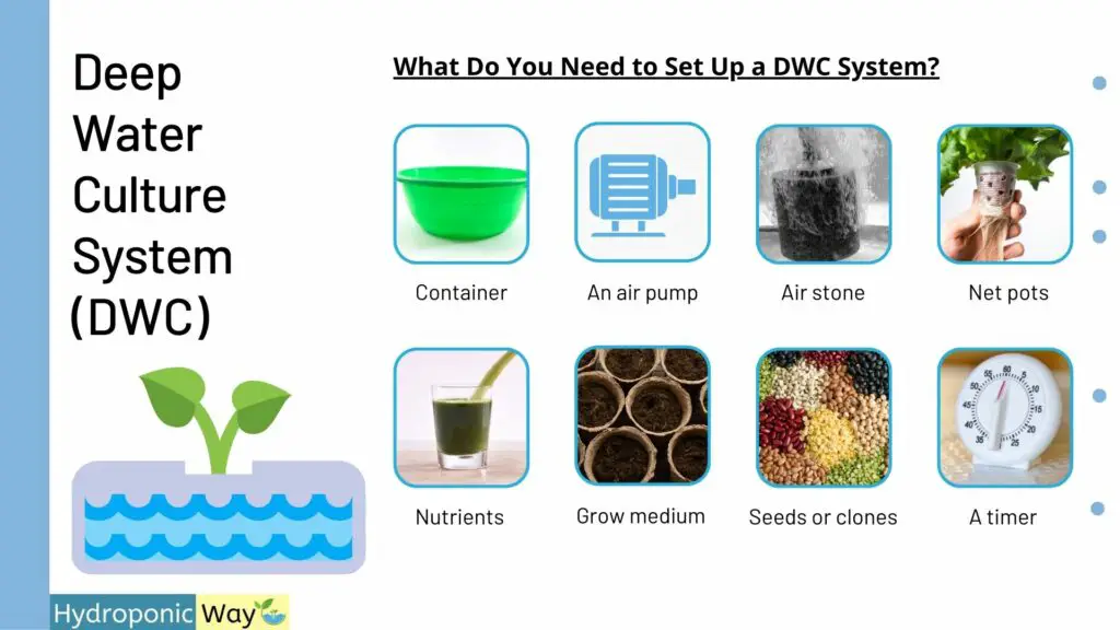 What do you need to set up a DWC deep water culture system