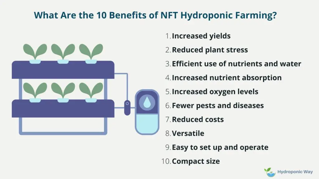 Benefits of NFT hydroponics