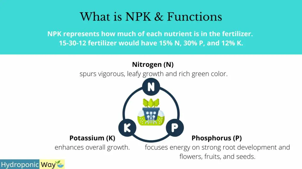 What is NPK and how it functions
