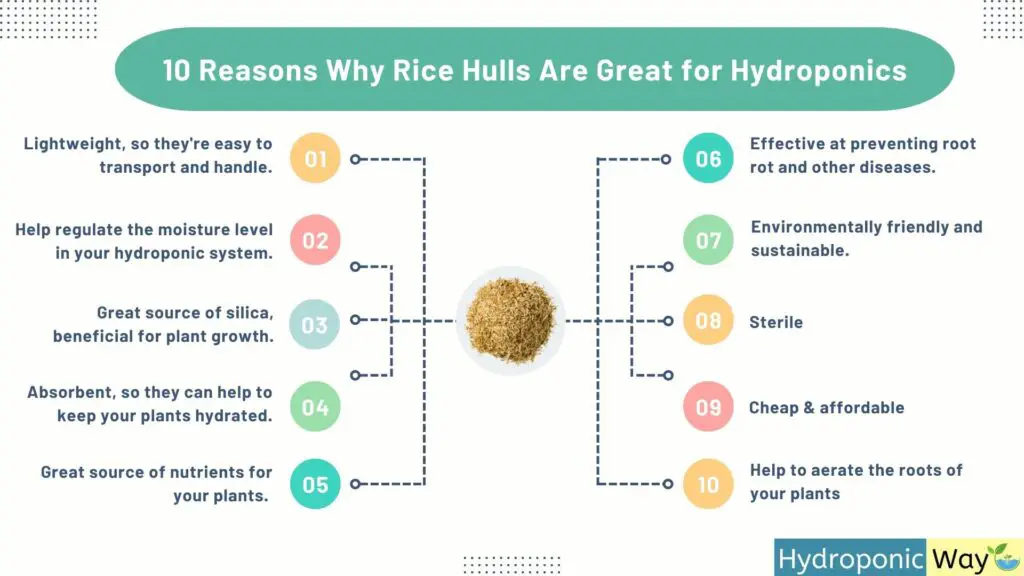 why rice hulls are good for plants