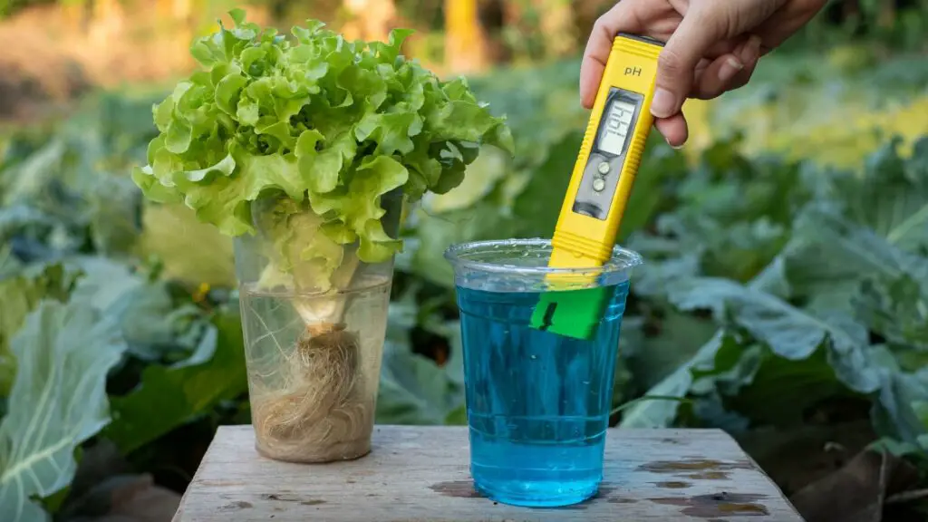 ph tester for hydroponics