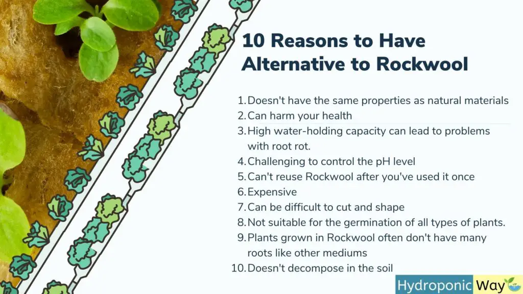 why you need alternative growing medium to rockwool