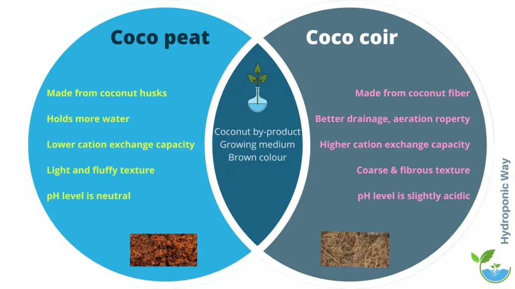 coco peat vs coco coir