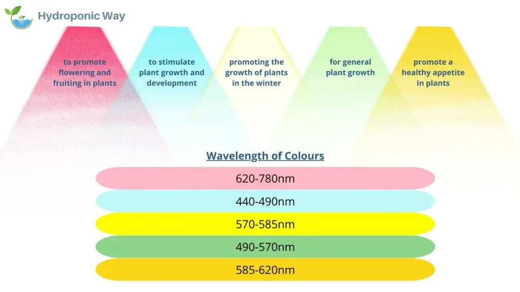 What Is the Wavelength of Each Color of Grow Light?