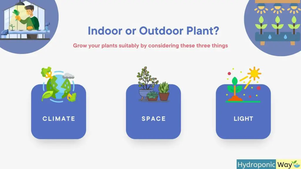What is best Indoor or Outdoor